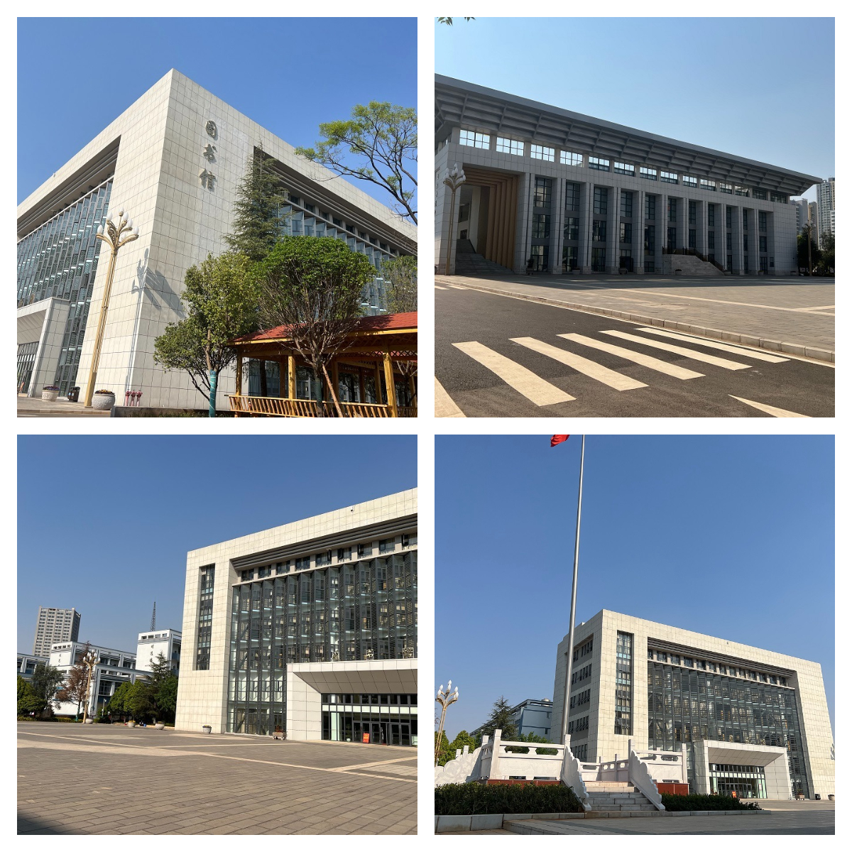 下载 (1).jpg