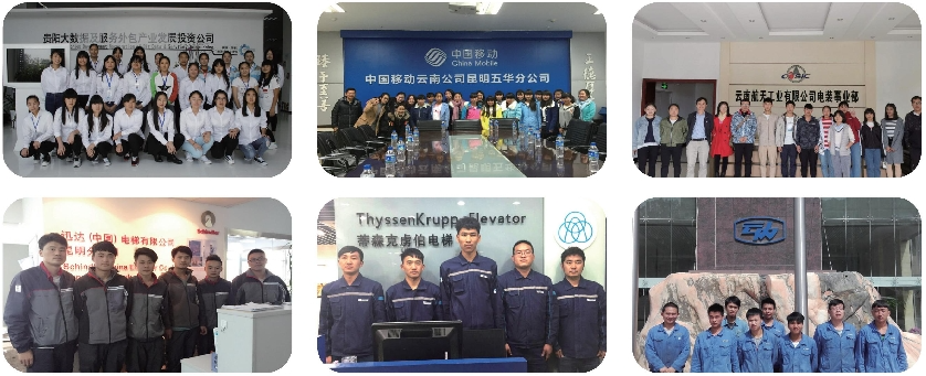 1773825927988510.png 就业11.png