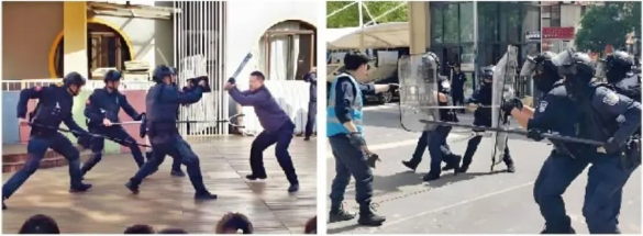 1775032633915796.png 防暴.png