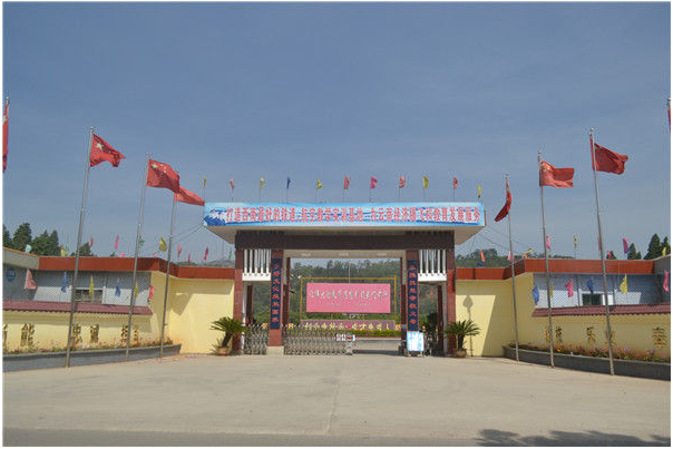 1775032905563439.png 8.png