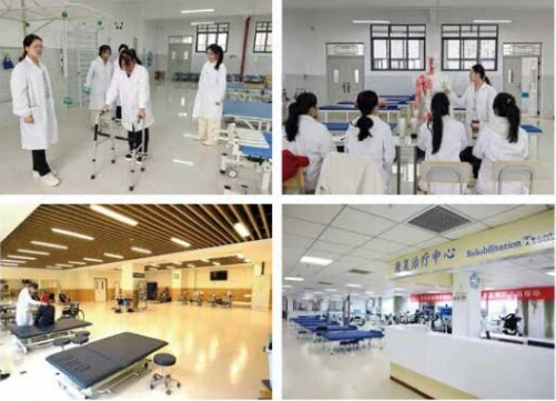 1776225437780384.png 中医康复.png