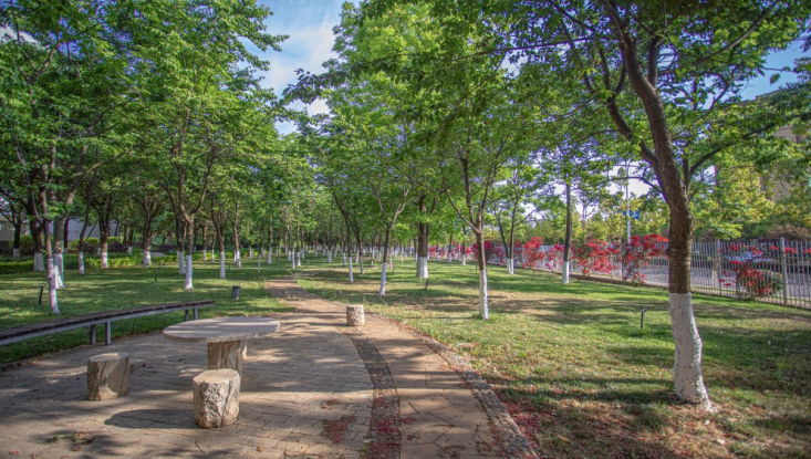 1776235544436234.png 10.png