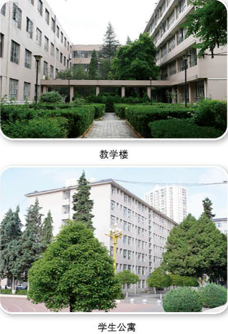 环境1.png