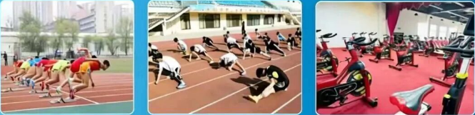 运动训练体育.png