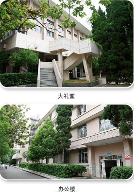 环境2.png