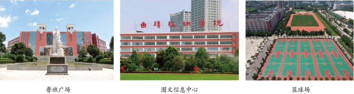 环境1广场球场.png