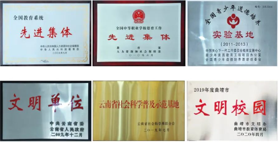 1780545239580714.png 荣誉1.png