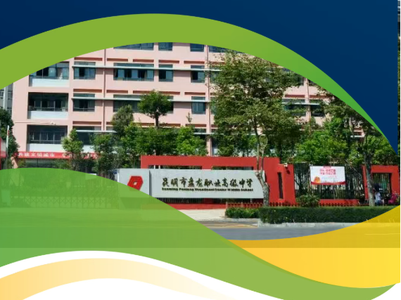 昆明市盘龙职业高级中学是公办还是民办？办学性质全面解读