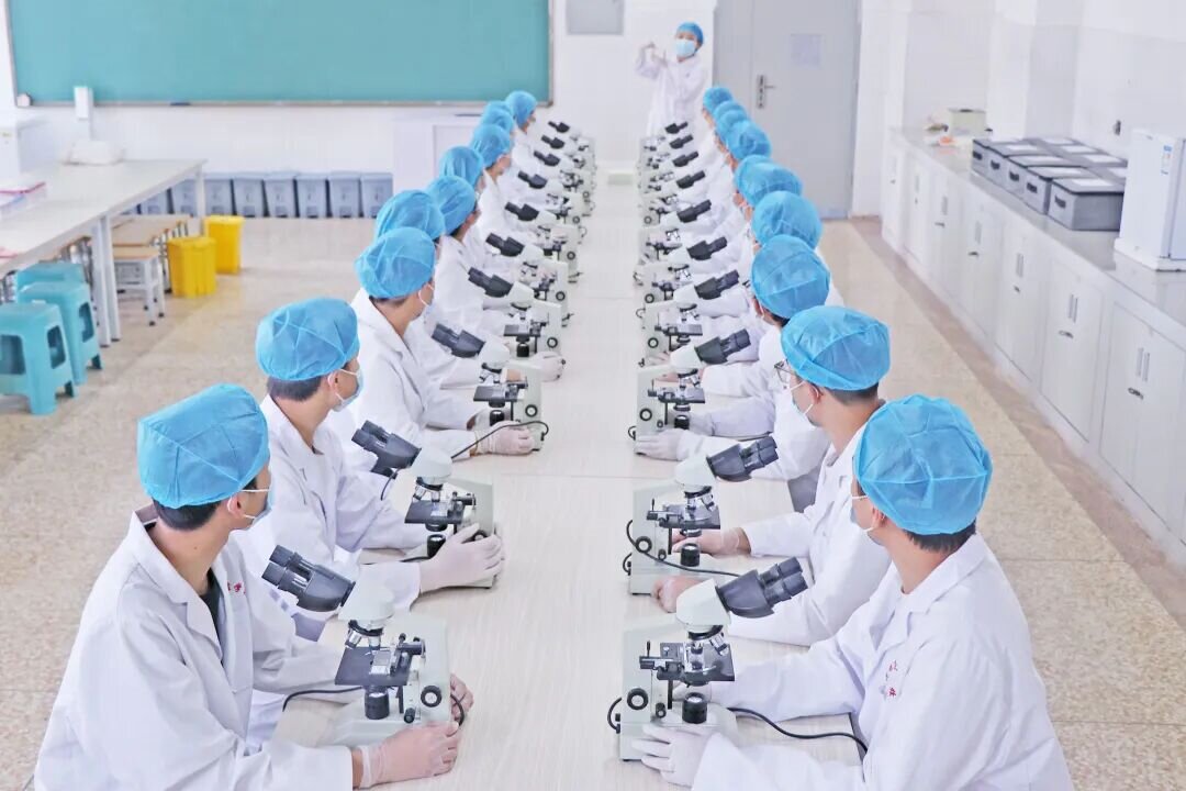 昆明市卫生学校2026年学校管理体系解读