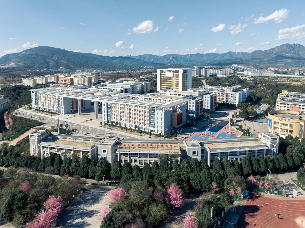 云南技师学院2026年本科上线率及升学实力解析