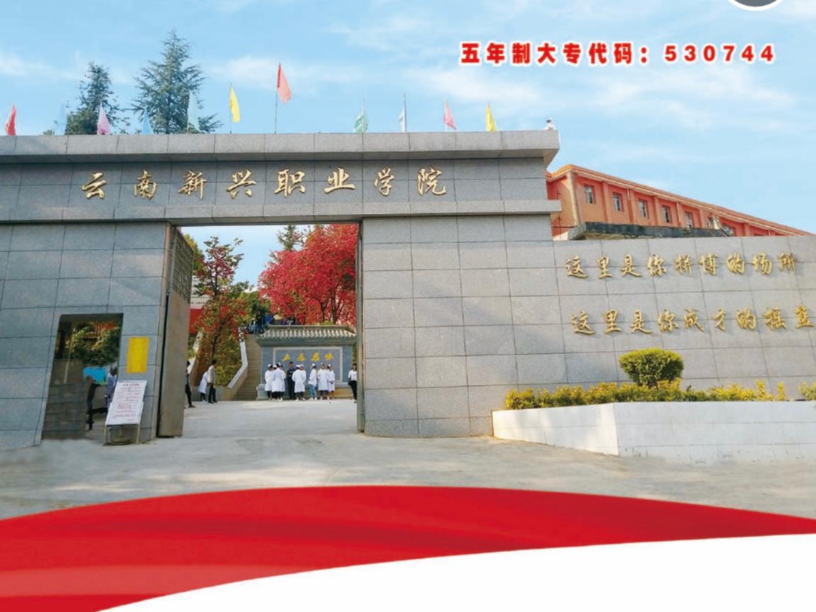 宜居书香校园：云南新兴职业学院2026校园环境与住宿条件