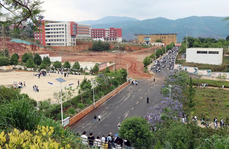 云南新兴职业学院2026官网：深耕医药职教沃土