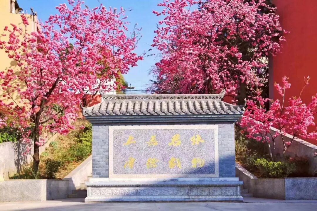 多重优惠护航升学：昆明辅仁学校2026优惠政策详解