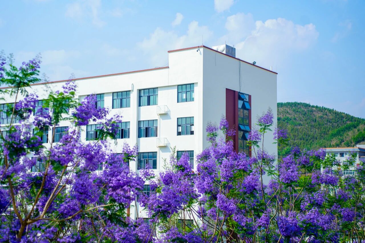 云南三鑫职业技术学院2026学费减免：助学减负全解读