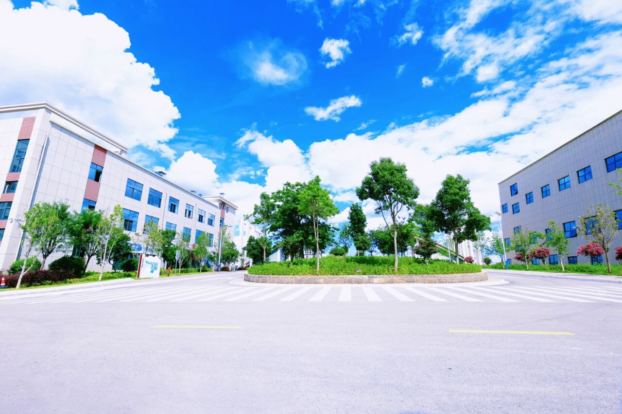 云南三鑫职业技术学院2026升学渠道全面解读
