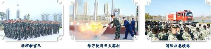 德育.png