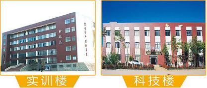 环境3.png