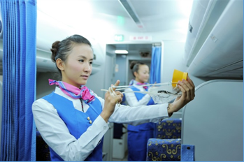 航空服务.png
