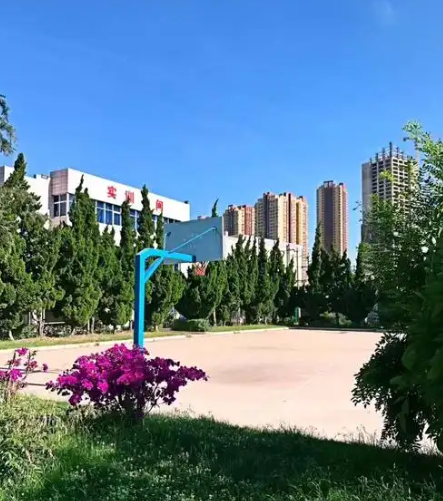 1781494901243186.png 27.png