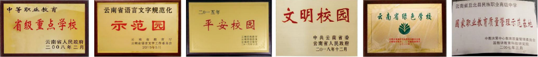 1781495264876672.png 荣誉.png
